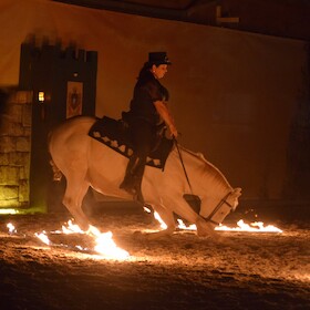 Abendshow Samstag