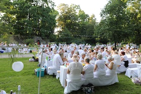White Picnic - White Picnic 2026