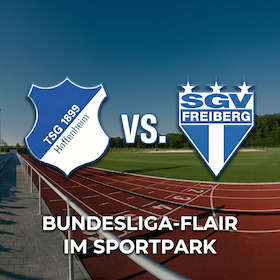 TSG Hoffenheim vs. SGV Freiberg