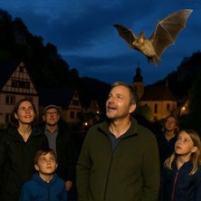 Fledermausführung in Pottenstein | Die Nacht der 1000 Fledermäuse
