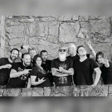 Friendly Elf - Rockparty