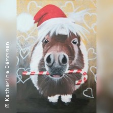 Emil das Weihnachtspony