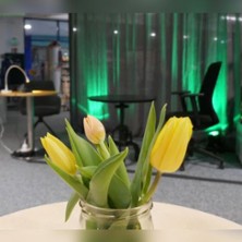 Sandra Lüpkes: Ein Ort, der bleibt