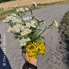 Wildkräuter für die Hausapotheke