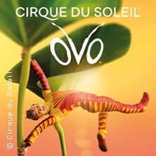 Cirque du Soleil OVO