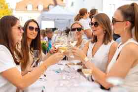 Winzerfest Alzey 2026 - Repräsentative Weinprobe