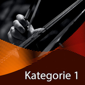 10er-Vorteils-Paket - Kategorie 1 - 10 Konzerte