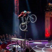 Herrenberger Weihnachtscircus