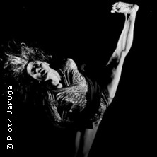 b12 fall 2026 - asteroids - Joy Alpuerto Ritter / Rainer Behr