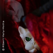 "Carmen ...or not?"