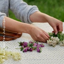 Wildkräuterspaziergang & Senfworkshop