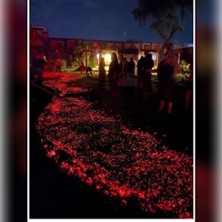 Feuerlauf Berlin –Erlebnisritual für Mut | ONFIRE - Firewalk Berlin/Brandenburg