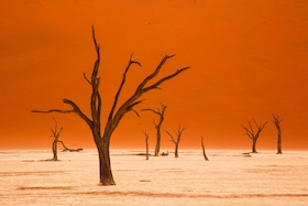 Namibia - Die Schönheit Afrikas - Eine Live-Reportage von Andreas Huber