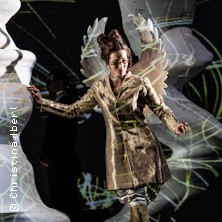 Castor et Pollux