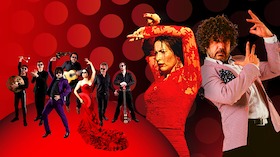 Flamenco - Rosas Negras