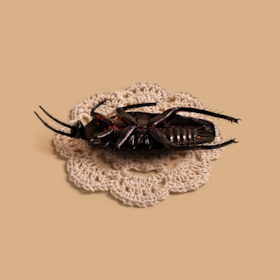 Die Verwandlung - Von Philipp Löhle nach Franz Kafka