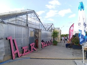 Sommer-Kabarett: 9m² - 800 kalt - Premiere