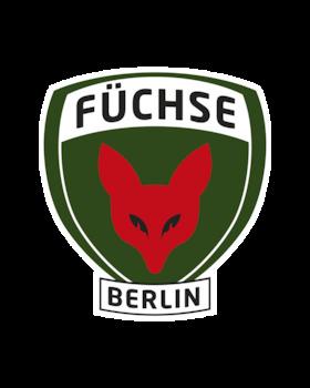 Rostocker HC - Füchse Berlin
