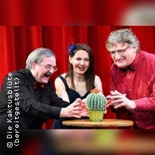 Kaktusblüte »Doof sein ist schön«