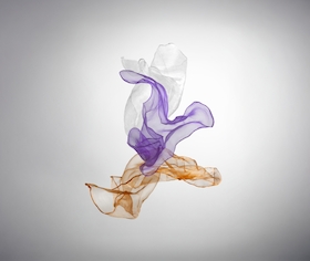 DANCELAB - Premiere - Choreografische Miniaturen
