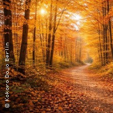 Herbstferien-Camp 2026