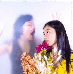 Bam 밤 – für violette Nächte