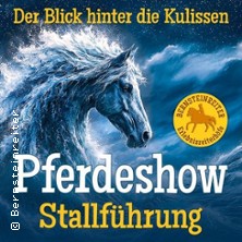 Stallführung zur Pferdeshow