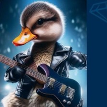 Rock the Duck