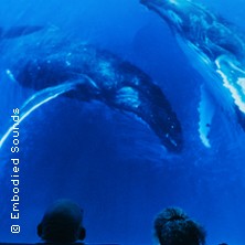 Sounds of the Ocean