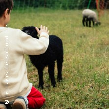 Schaf und Ziegen Kinder Abendteuer