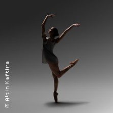 Ballett am Rhein: Grey Area