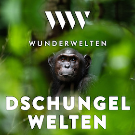 WunderWelten: Dschungelwelten