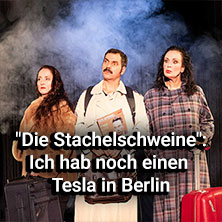 Die Stachelschweine Berlin