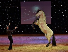 Christmas on Horse " Der magische Brunnen" - Die schönste Pferdeshow in Schwaben.