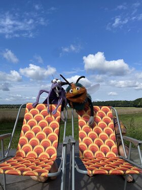Mücke macht Picknick - Kindertheater