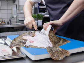 Küchenhandwerk - Fischfiletierkurs