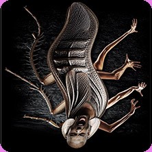 Metamorphose