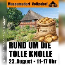 Rund um die tolle Knolle