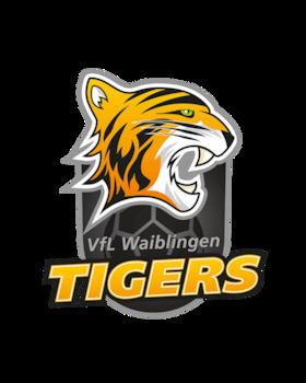 Rostocker HC - VfL Waiblingen