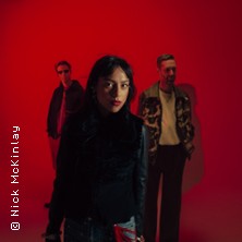 Telenova - The Warning Tour