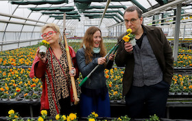 Nur die Harten komm‘ in Garten - Herkuleskeule