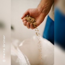 Braukurs