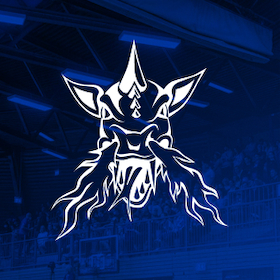 VfL SparkassenStars Bochum vs. Artland Dragons
