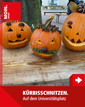Kürbis schnitzen - auf dem Universitätsplatz