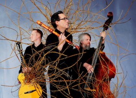 Wildes Holz - Wurzeln – Tour 2028