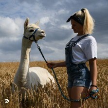 Alpaka Wanderung im schönen Chemnitztal
