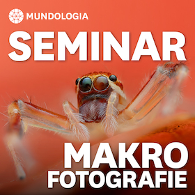 MUNDOLOGIA-Seminar: Makrofotografie