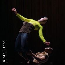 Beasts and Bodies - overhead project