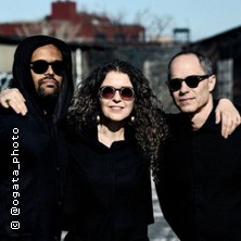 Courvoisier, Rothenberg & Waits - Multiphonics Festival 2026