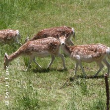 Wild Kochkurs